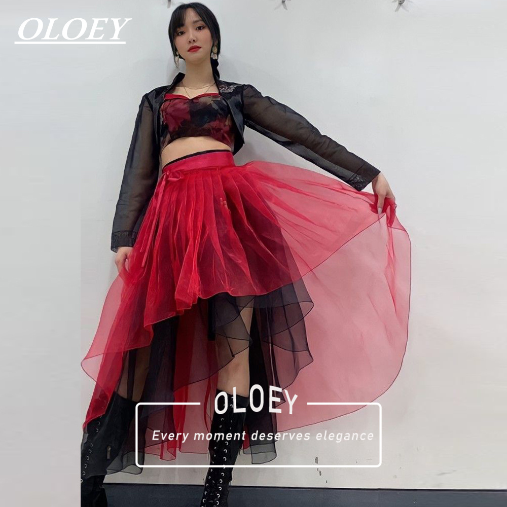 Hanbok Modern Set - OLOEY Ensemble Hanbok de concert moderne